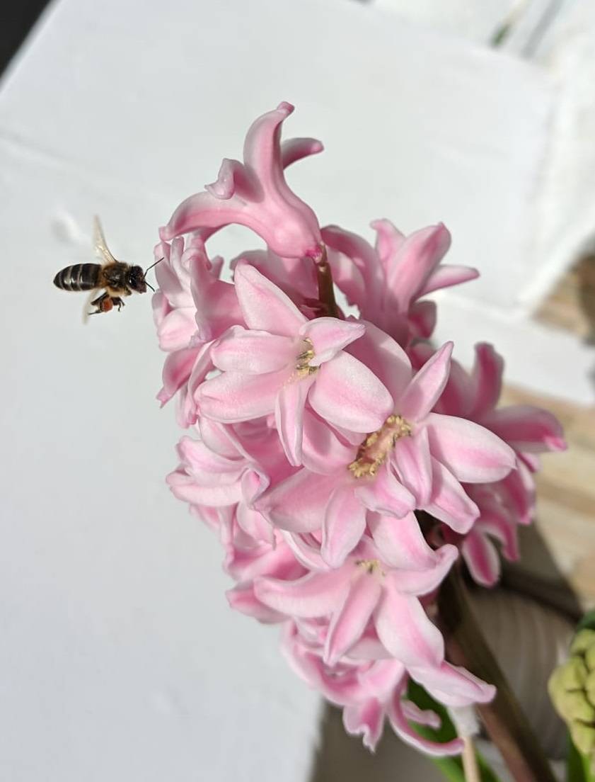 5b58e1d3-05ab-4d29-ae9a-7ac7326ce1ae.jpg