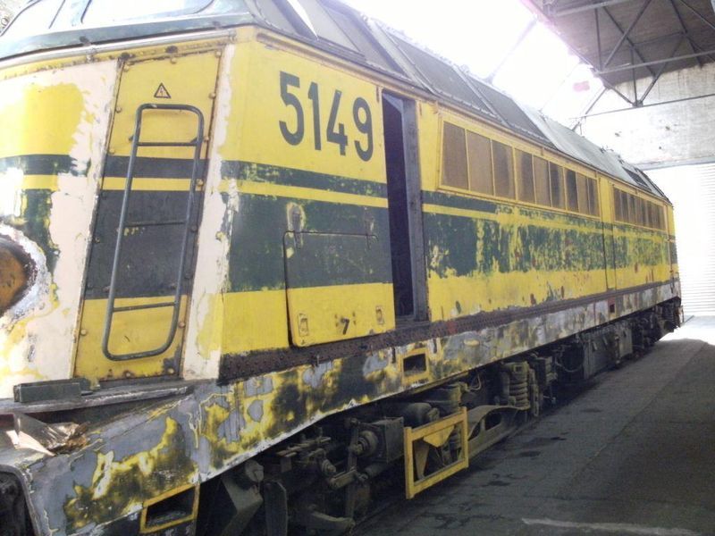 61876961.jpg