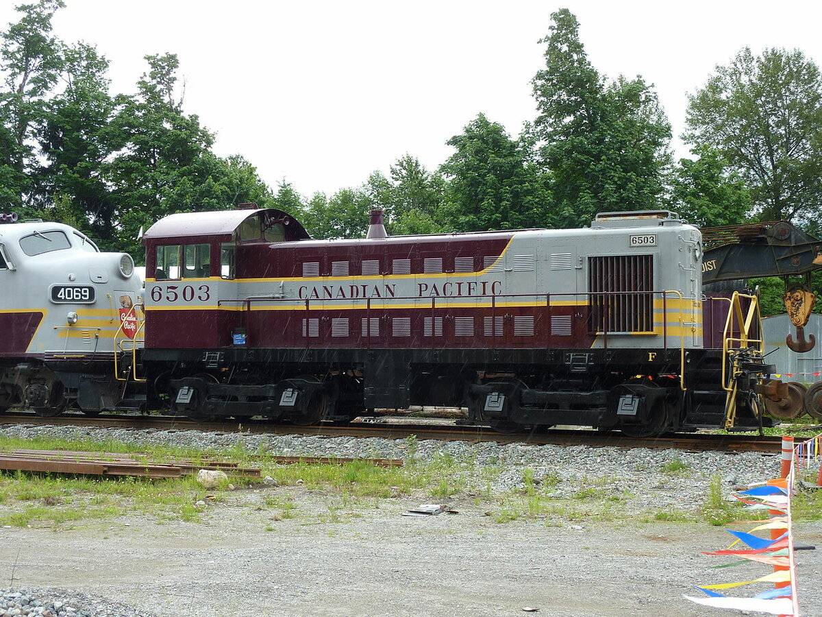 6503.jpg