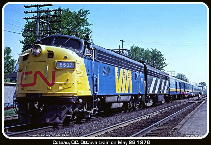6537.jpg