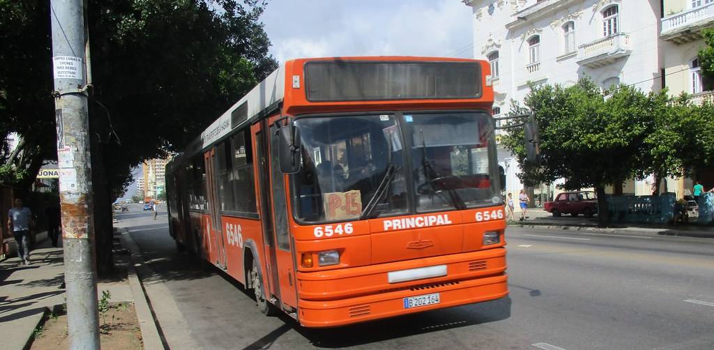 6546.jpg