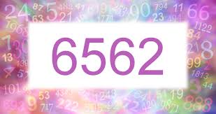 6562.jpg