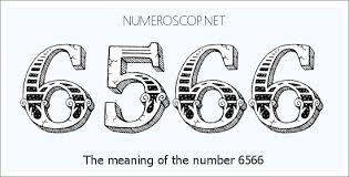 6566.jpg
