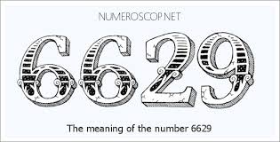 6629.jpg