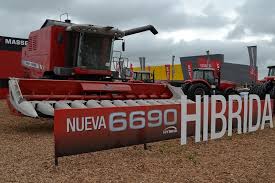 6690.jpg