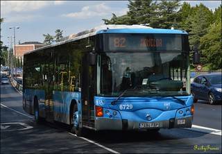 6729.jpg