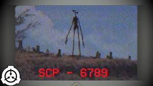 6789.jpg