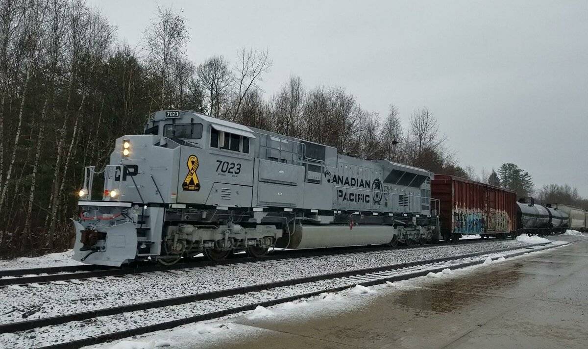 7023.jpg