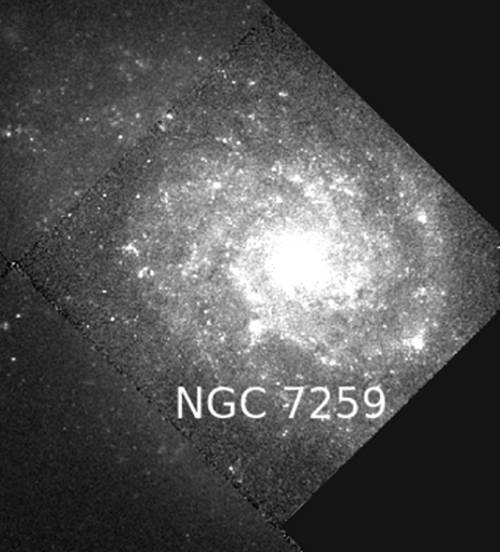 7259.jpg