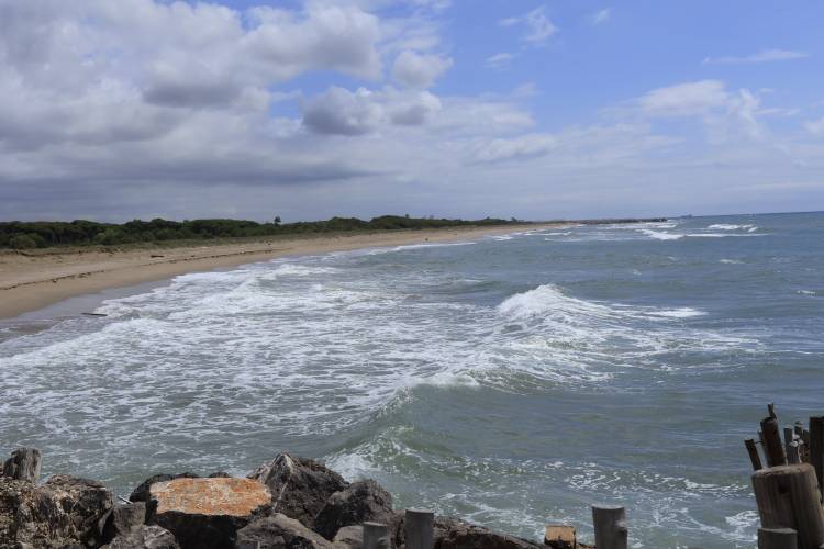 _MG_2979.jpg