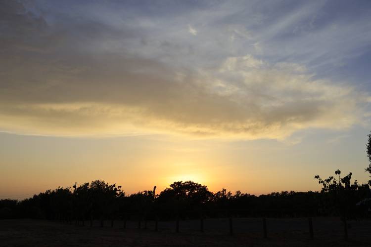 _MG_3548.jpg
