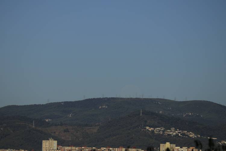 _MG_4235.jpg