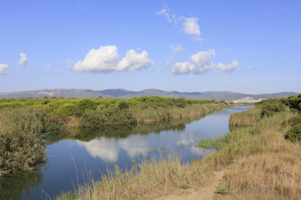 _MG_4969.jpg
