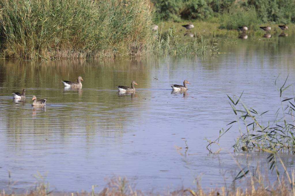 _MG_5082.jpg