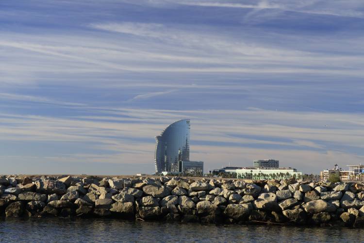 _MG_5319.jpg