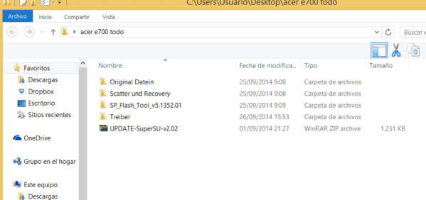 acer1.png