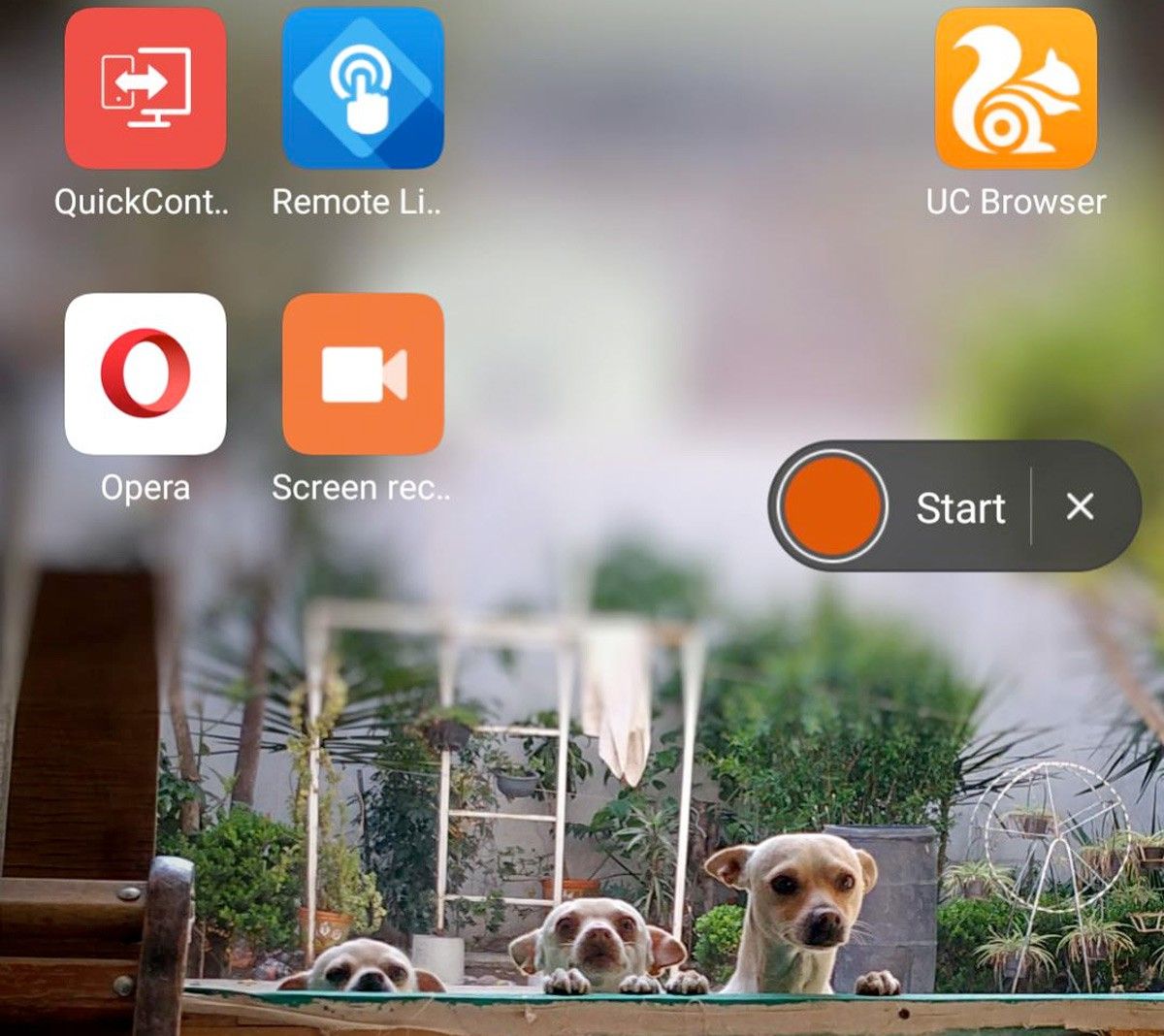 aelandroidelibre.elespanol.com_wp_content_uploads_2017_05_app_grabar_la_pantalla_xiaomi_2.jpg