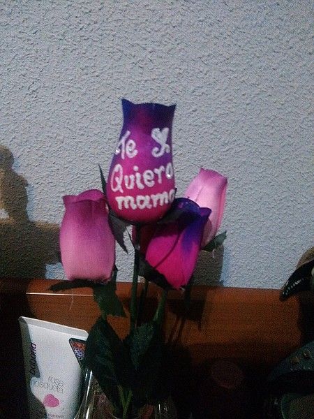 afotos.subefotos.com_7733aad8f6da989c5ba04fce3e80b614o.jpg
