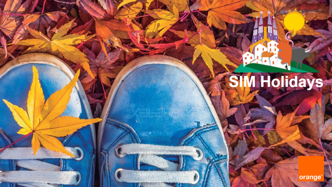 ai.blogs.es_29c35f_tarjeta_holidays_orange_diciembre_2016_650_1200.png