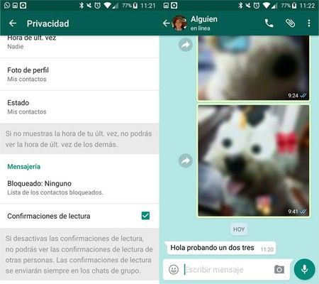 ai.blogs.es_3d01d0_desactivado_450_1000.jpg