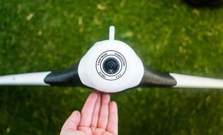 ai.blogs.es_dc7fb3_parrot_disco_450_1000.jpg