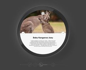 ai_cdn.phonearena.com_images_articles_289839_gallery_Andy_Rubins_Essential_Home.jpg