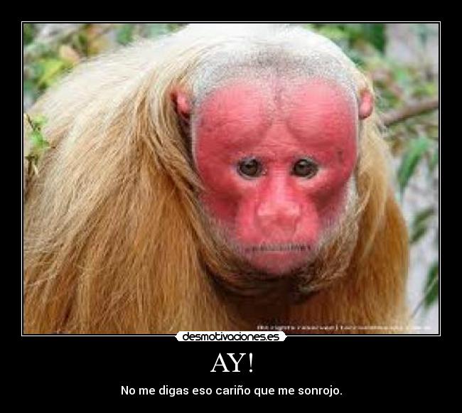 aimg.desmotivaciones.es_201101_images_3901.jpg