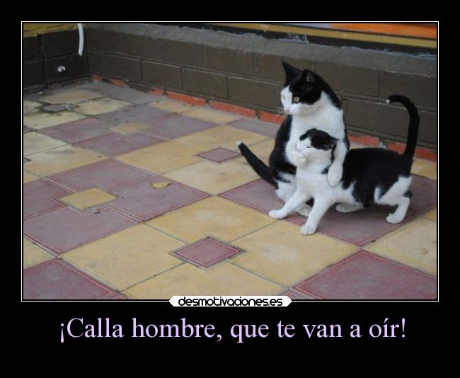 aimg.desmotivaciones.es_201311_fotograciosagatoshacercallar.jpg