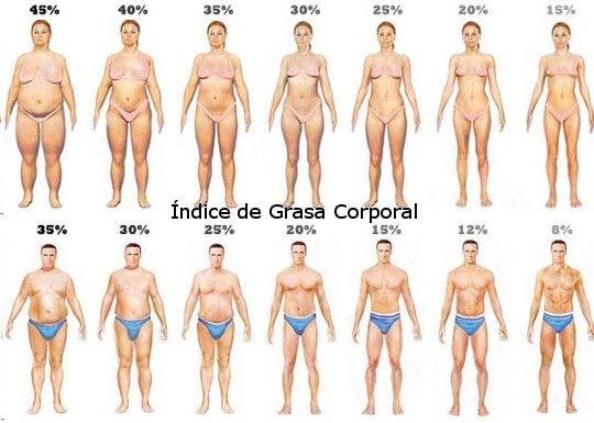 ajavierchirinos.com_wp_content_uploads_2013_08_indice_de_grasa_corporal.jpg