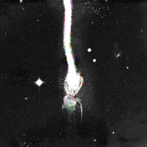 alien-abduction-tumblr_lpfy6nBhcK1qd8npko1_500.gif