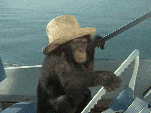 amedia1.giphy.com_media_3o85xAYQLOhSrmINHO_giphy.gif