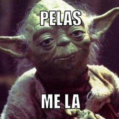 amemeschistosos.net_wp_content_uploads_2016_08_memes_de_yoda_pelas.jpg