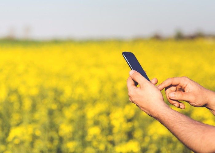andro4all.com_files_2016_09_Movil_y_campo.jpg