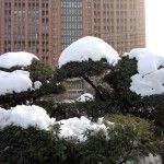 androidayuda.com_app_uploads_2015_12_Xiaomi_Redmi_Note_3_nieve_150x150.jpg