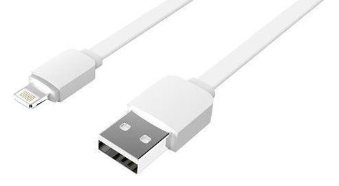 apbs.twimg.com_media_DJrGJFVUEAAwTzs.jpg