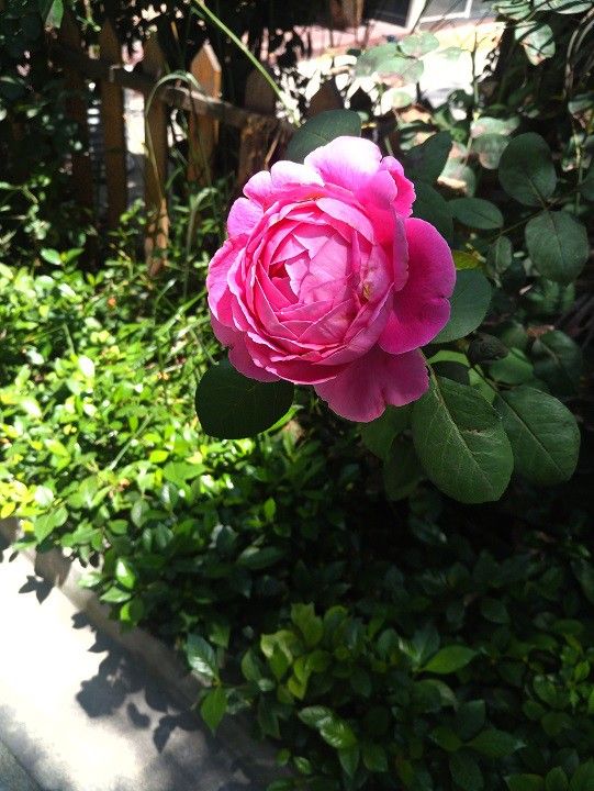 as12.postimg.org_tf4xthsrx_QQ_20170612173735.jpg
