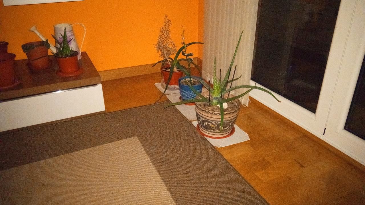 as19.postimg.org_r5c7jfyer_IMG_20171109_184122.jpg