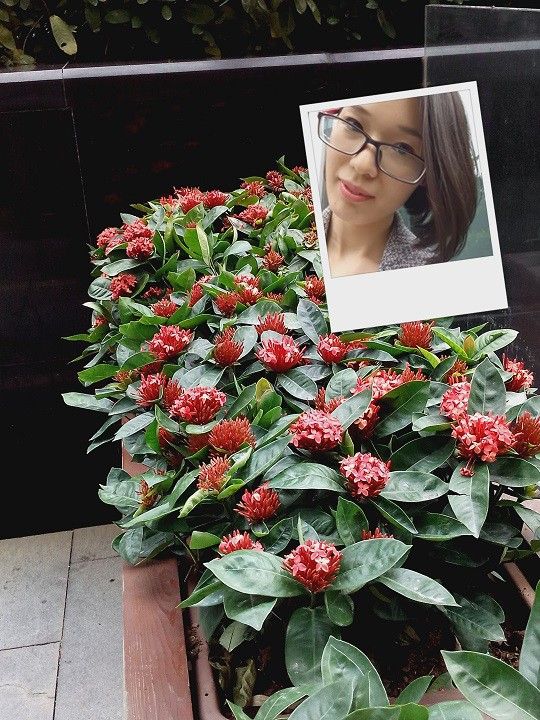 as28.postimg.org_l9hzqaitp_IMG_20170117_165311.jpg