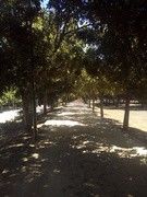 as5.postimg.org_4mp5b51df_IMG_20170605_120502.jpg