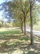 as5.postimg.org_58e478wfn_IMG_20170605_121105.jpg
