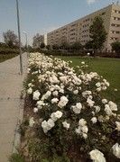 as5.postimg.org_5ntfdlprn_IMG_20170425_133619.jpg