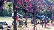 as5.postimg.org_5s612ph6b_IMG_20161120_143005.jpg