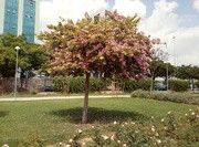 as5.postimg.org_68hn7rxrn_IMG_20170425_134043.jpg