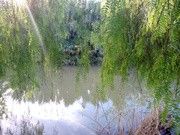 as5.postimg.org_af8x6ciib_IMG_20170501_200645.jpg