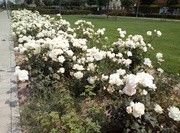 as5.postimg.org_brflb95f7_IMG_20170425_133638.jpg