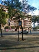 as5.postimg.org_d5azykx83_IMG_20170529_201747.jpg