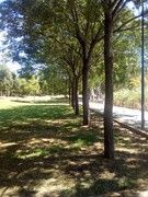 as5.postimg.org_io14wp4xf_IMG_20170605_121056.jpg
