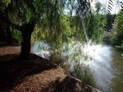 as5.postimg.org_k3md9hdbn_IMG_20170501_200553.jpg