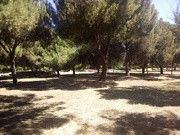 as5.postimg.org_n4thvdj5f_IMG_20170605_120751.jpg