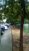 as5.postimg.org_nolequ3w3_IMG_20161120_143637.jpg